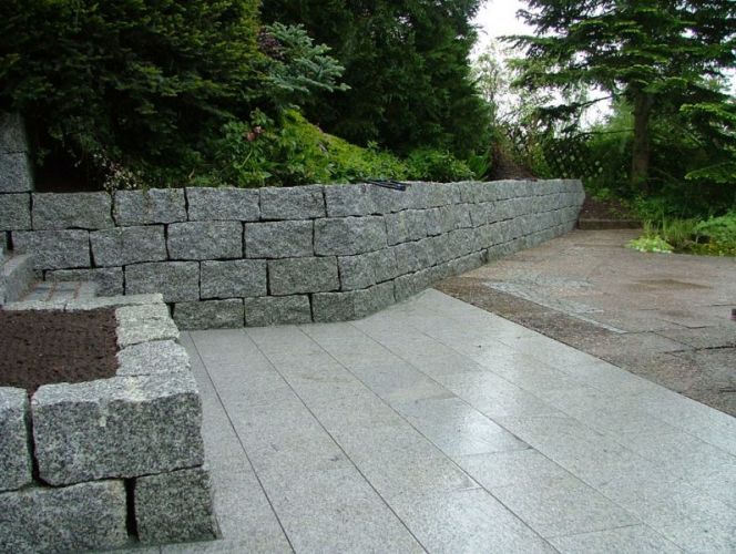 DSCF4448.jpg