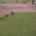 DSC05155.jpg