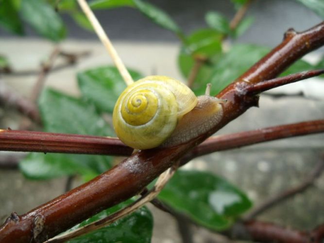 DSCF1272.jpg